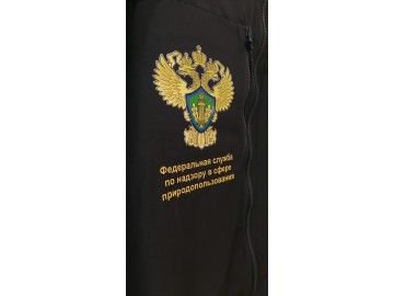 Жёлтый светоотражающий жилет «VizoLite» с теми же двумя лого (герб Росприроднадзора слева + лого ВООП справа) на — печать на футболках Уфа — НеоШтамп